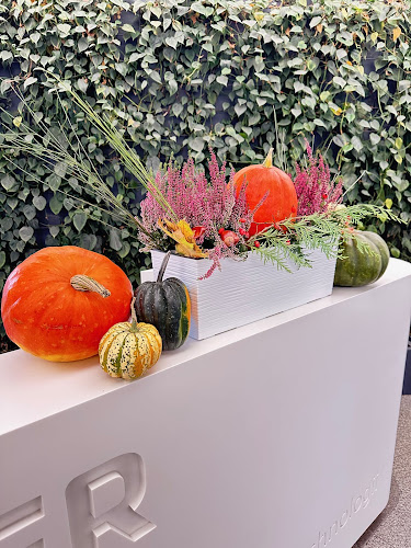 Nobel Tower - Skwierzyna