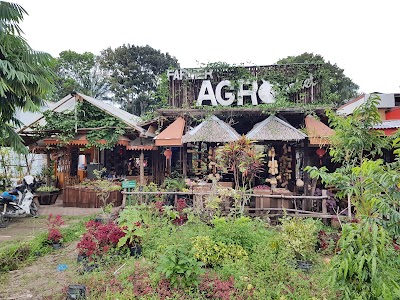 Photos of Horas Kopi Gayo Saree