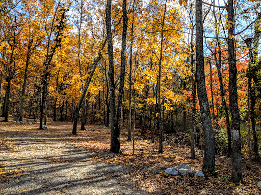 Coldwater Mountain Bike Trails, Anniston Trailhead Gallery - United States