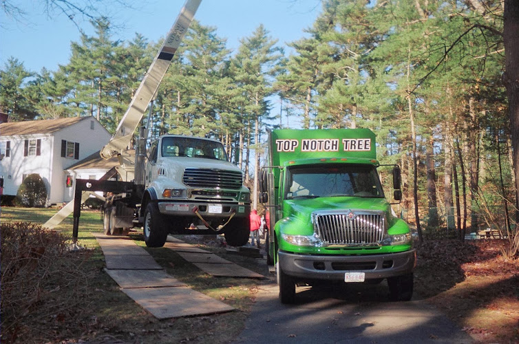 Top Notch Tree, Inc.