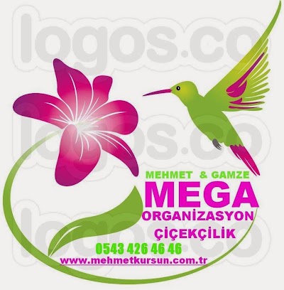 Photos of gamze &ccedil;i&ccedil;ekcilik