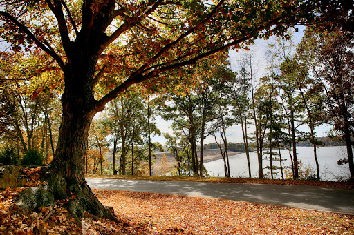 Eagle Point Recreation Area - Thumbnail