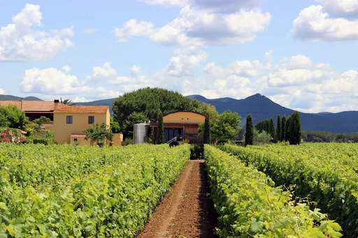 Farm Lands of the Marquis