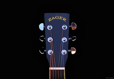 Zager Guitars