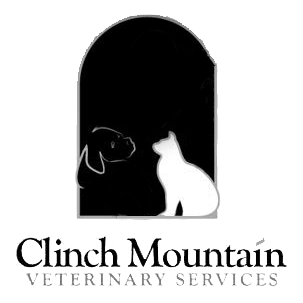 veterinary-care