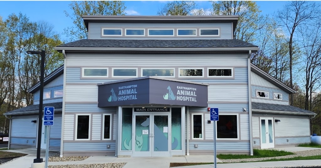 Easthampton Animal Hospital