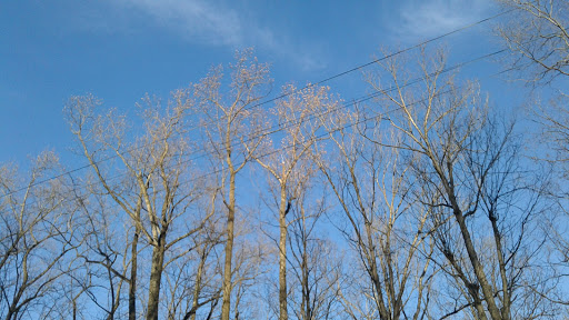 Bushkill Township Trail Gallery - United States