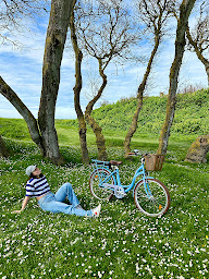 Photo n°13 de Beach Bikes à Saint-Martin-de-Ré (Service de location de vélo)