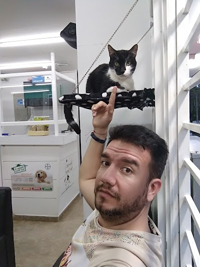 Photos of arka Vets