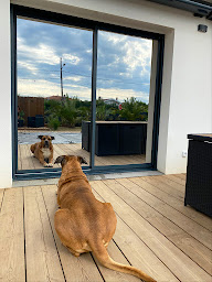 Photo n°10 de Ponchon Marc - Autofilmnet à Grenade-sur-l'Adour (Prestataire spécialisé dans les vitres teintées)