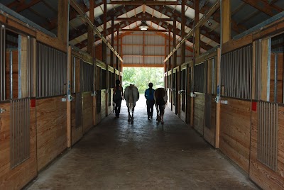 SS Equestrian Services at Pinebourne North