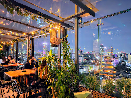 Supra Roma Rooftop Gallery - Mexico
