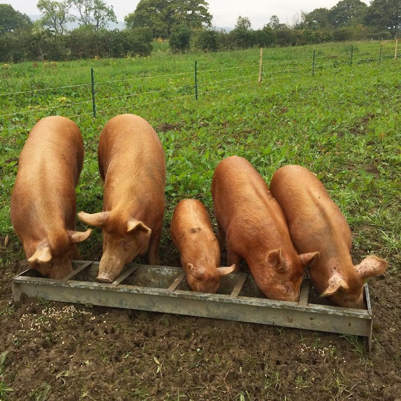 Hexhamshire Organics photo 2