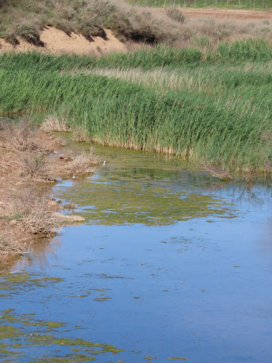 Lagunas - Visual