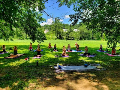 Yoga in the Park Asheville