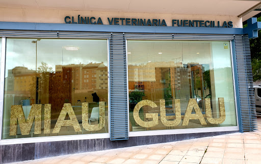 Clinica Veterinaria Fuentecillas - Thumbnail