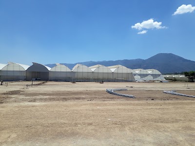 Photos of Beauty Line Guatemala