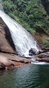 Pucallpa Amazon Tours Operador Turistico 1