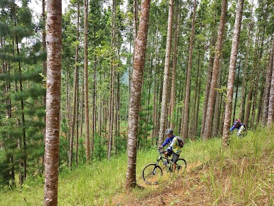 Photos of Igir Jenaka