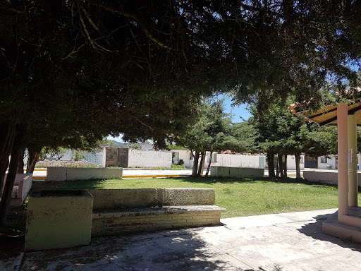 Pueblo El Salto Garden - Thumbnail