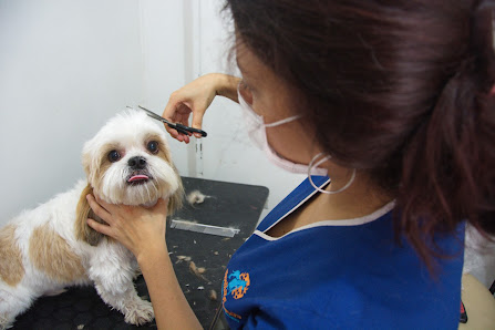 Fotografía de Centro Veterinario Huellas Sanas Perro