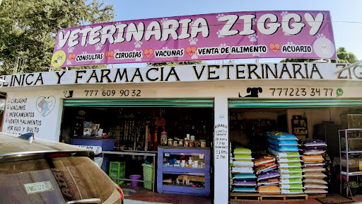 Veterinaria ziggy