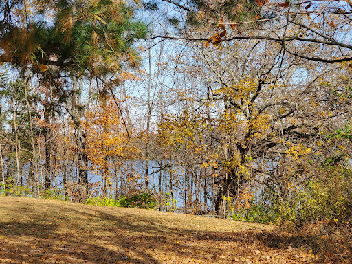 Cowan Lake Disc Golf Course - Thumbnail