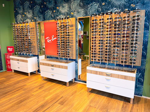 SARL OPTIQUE NOYER RENARD LISSAC OPTIC