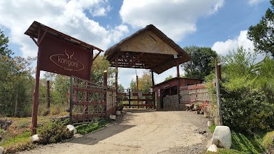 Photos of Kongoni Camp