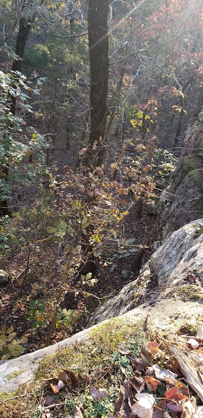 Buffalo Point Overlook