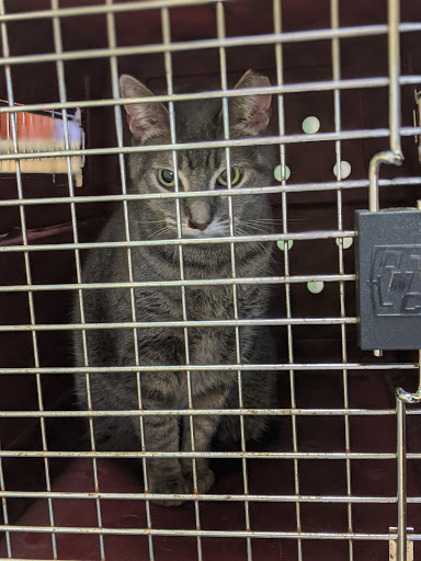 Grand Valley Animal Hospital - Thumbnail