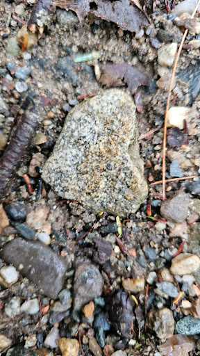 Rattlesnake Gutter Conservation Area Trail Head - Thumbnail