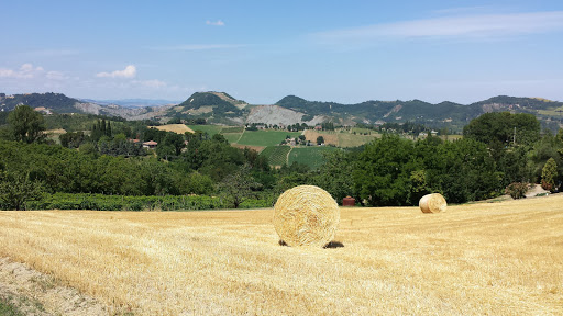Parrocchia di Mongardino - Thumbnail