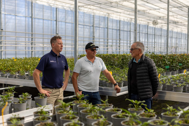 Opinii despre Apex Greenhouses în Waiuku - Construction company