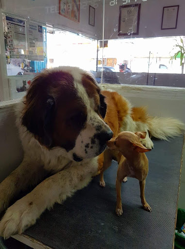 Veterinaria Dr. Fabian
