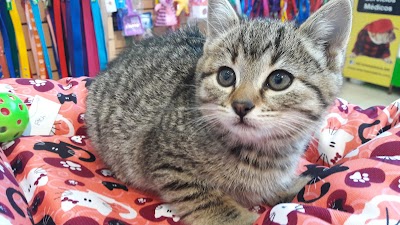 Photos of Veterinaria Alem Valle Escondido