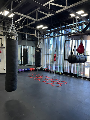 Lumina Gym Querétaro - Thumbnail