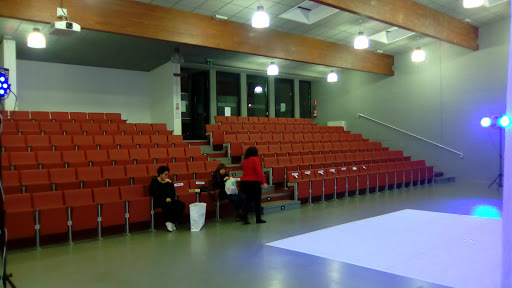 Auditorium Ramin - Thumbnail