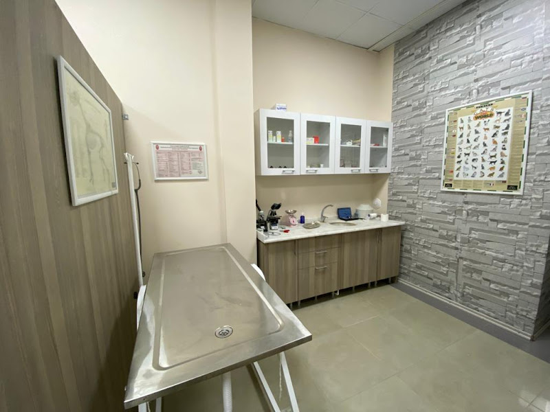 Eskişehir Yeşilim Veteriner Kliniği