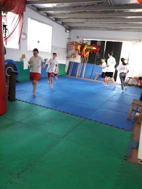 Centro De Estudios De Artes Marciales Dong Long, Author: gustavo long