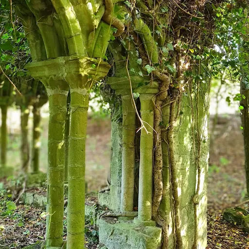 Newminster Abbey - Visual