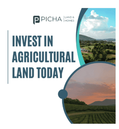 🌱 Invest in Agricultural Land in Igatpuri 🌱 post image