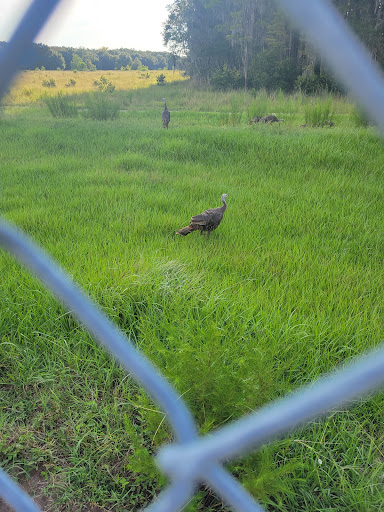 East Lake Meadows - Thumbnail