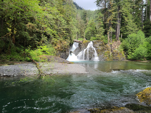 Wynoochee Falls