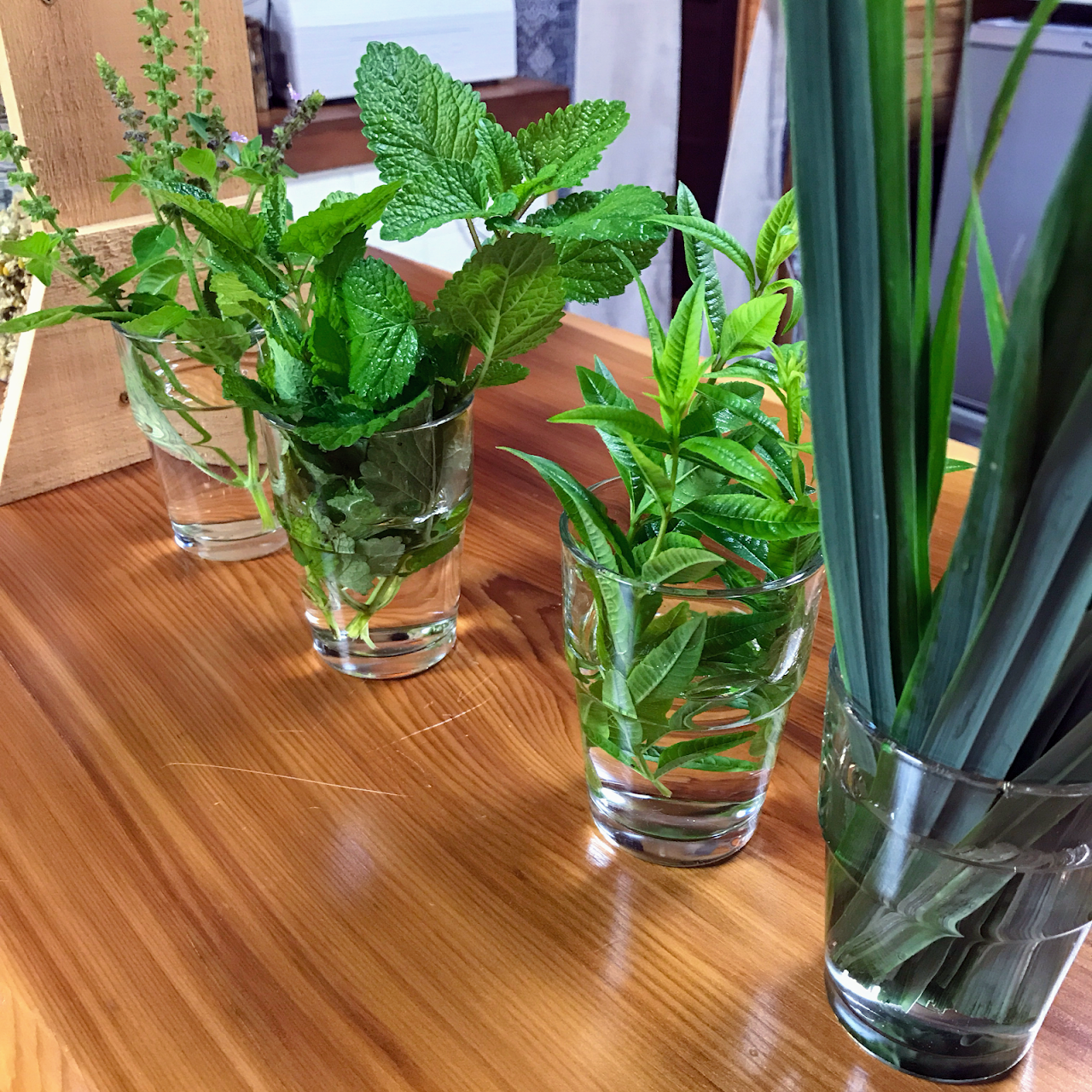 Herbcafe涼風 カフェ