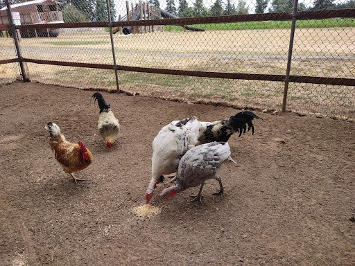 Fir Point Farms - Thumbnail
