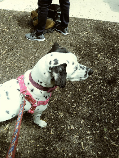 Colonial Park Animal Clinic - Thumbnail