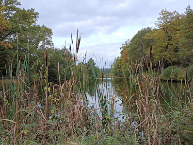 Birkenfeld ASV Fischwaid Postfach 301148, 55759 Birkenfeld, Deutschland