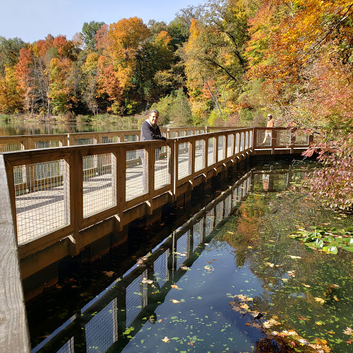 Lily Pond, Mill Creek Park - Thumbnail