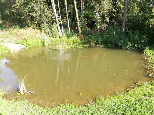 Wörthsee - Visual